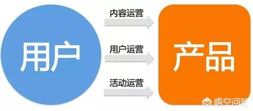 大學專業選擇指南 數字內容制作服務與互聯網運營